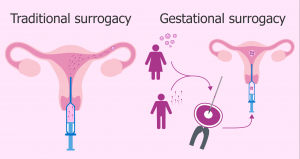 disadvantages of surrogacy